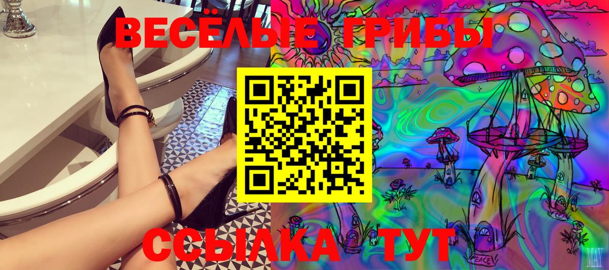 Большой Камень  Псилоцибиновые грибы Psilocybine cubensis  Вход с VPN 