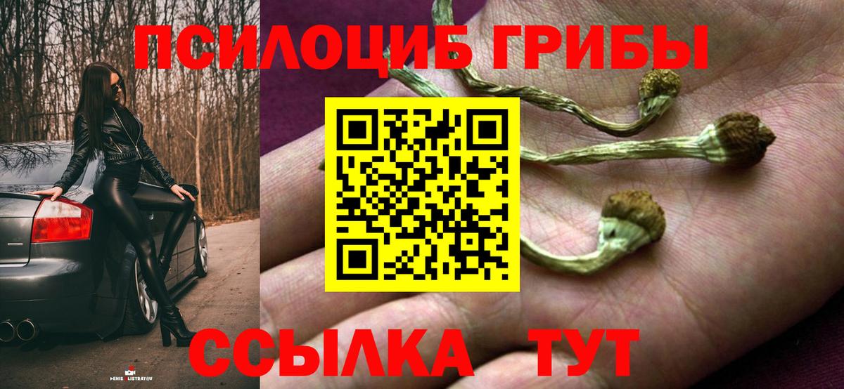 Псилоцибиновые грибы GOLDEN TEACHER Большой Камень